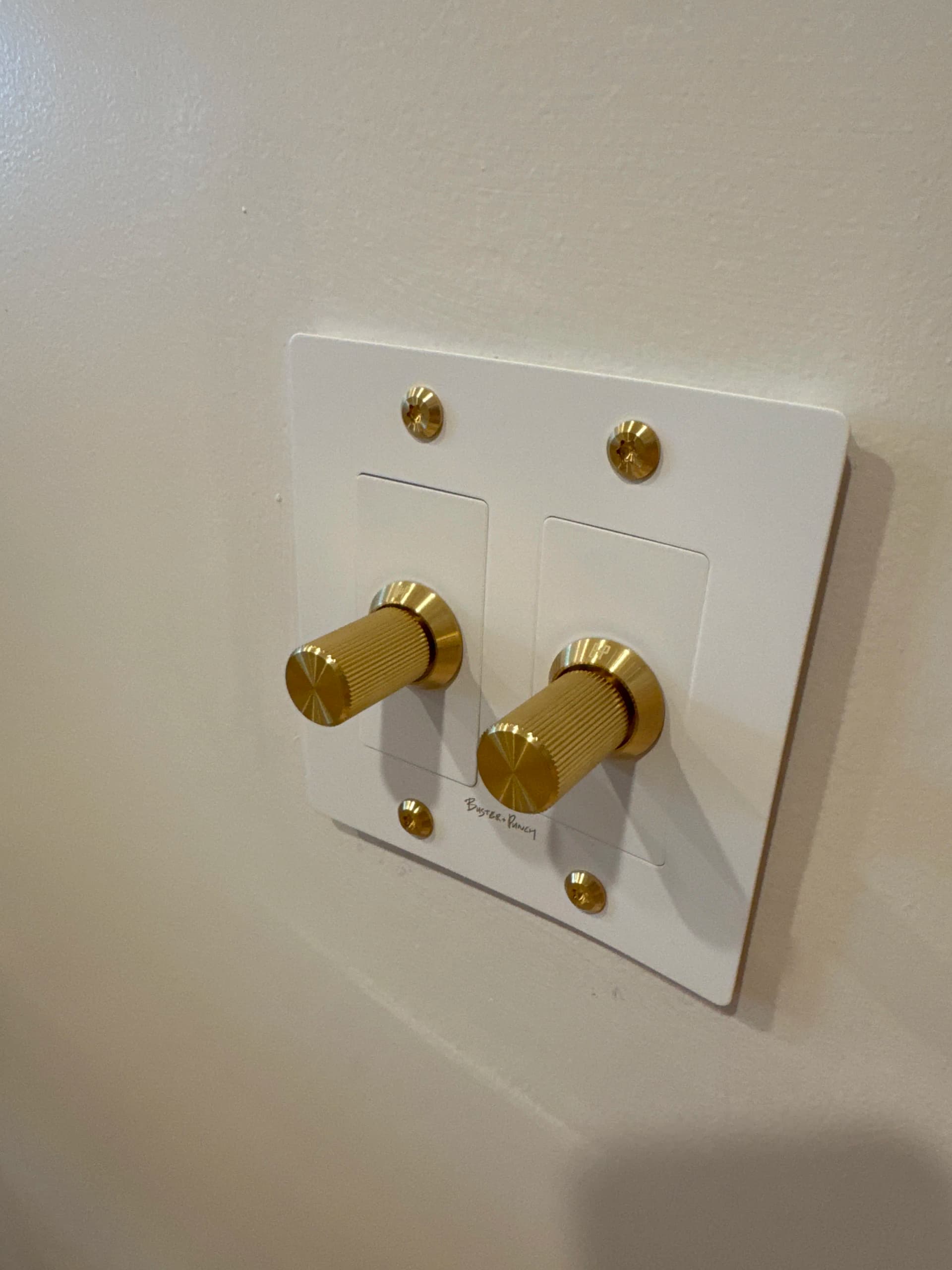 Gallery photos for Black Outlet and Designer Switch Upgrades in Brookhaven Custom Home: Image #5